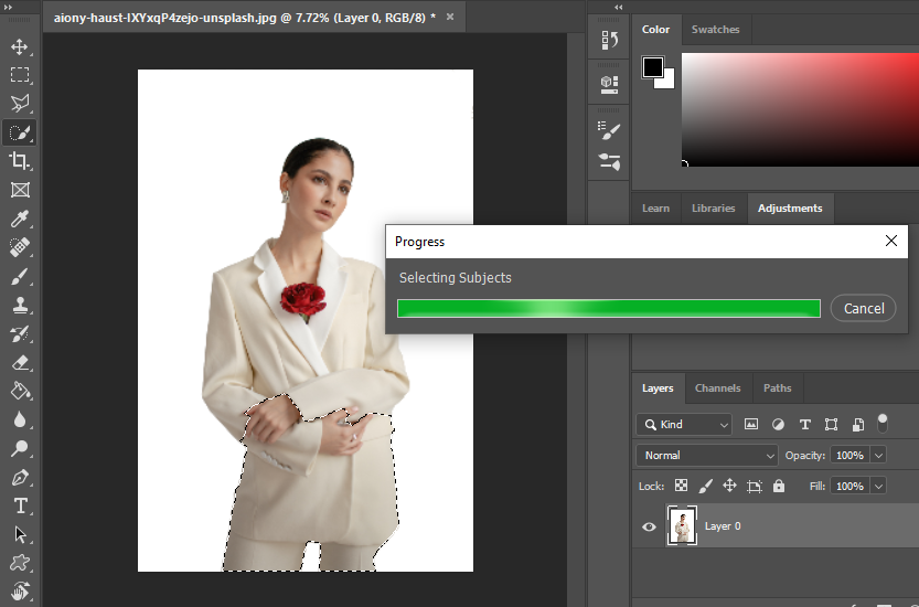 Kako promijeniiti boju pozadine u Photoshopu - Progres select subjekt