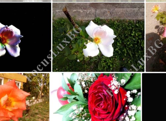 Svrha fotografije je da ilustruje mogućnost zarade novcakroz pasivan prihod