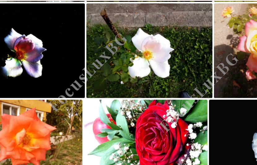 Svrha fotografije je da ilustruje mogućnost zarade novcakroz pasivan prihod