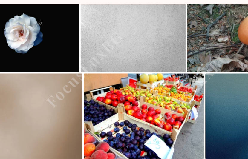 Fotografije koje ilustruju moj portfolio